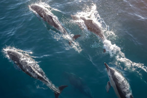 233440 kaikoura canterbury web 2560