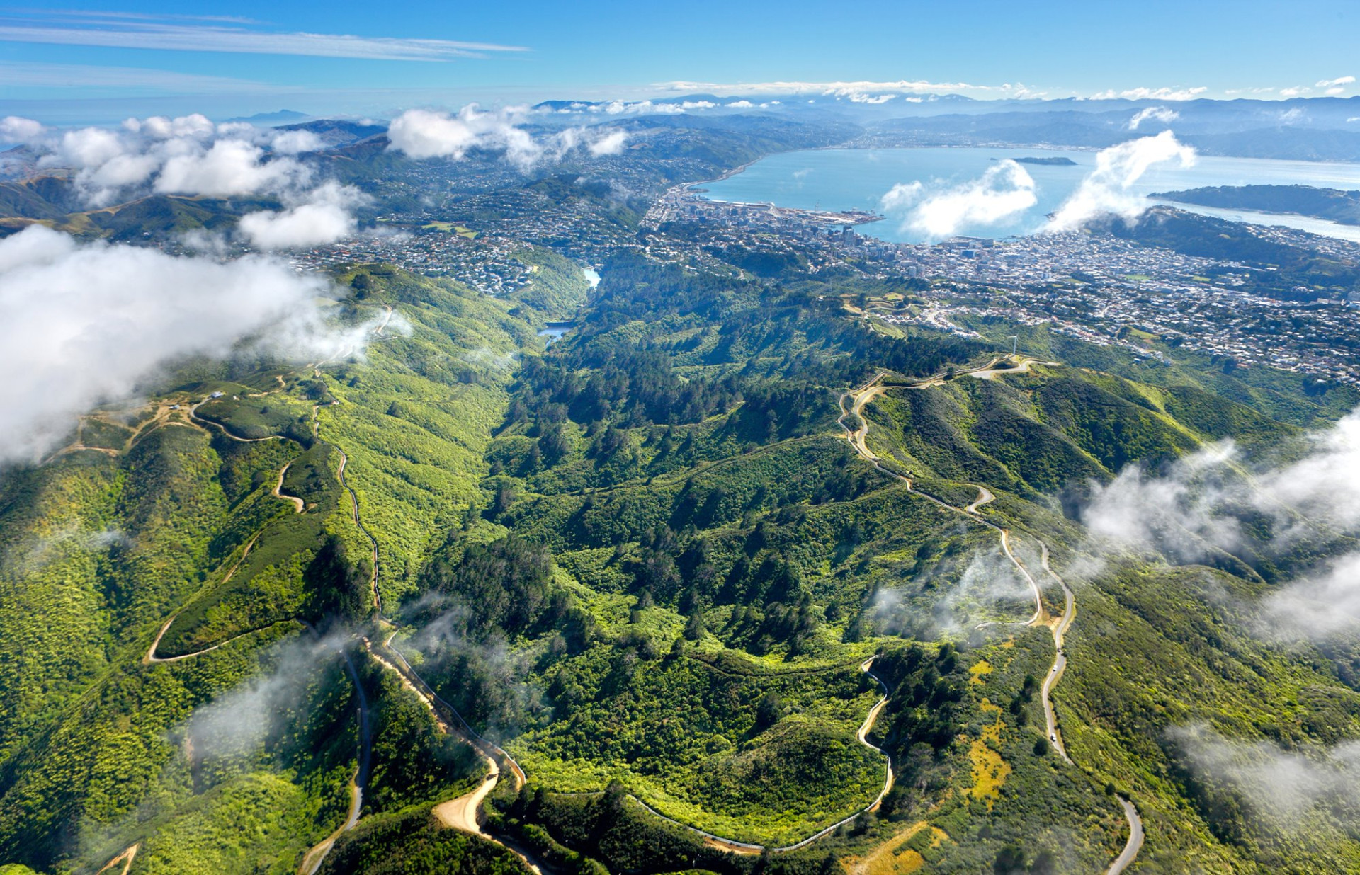 Wellington Zealandia Aerial c.Rob Suisted