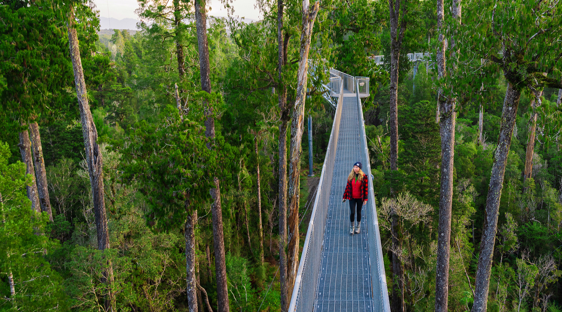 West Coast Treetop Walk, Hokitika