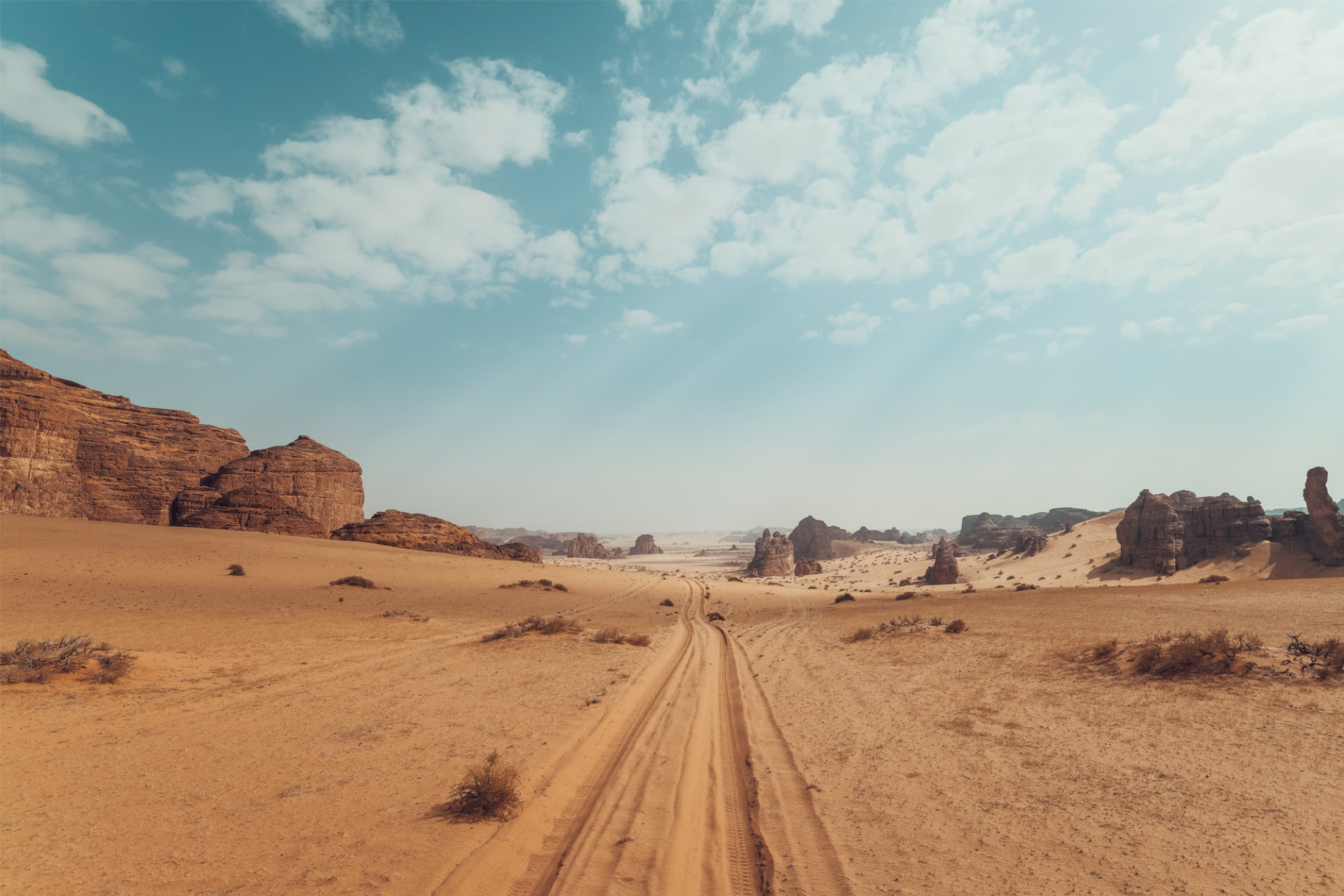 Saudi Arabia - AlUla Sharaan Nature Reserve
