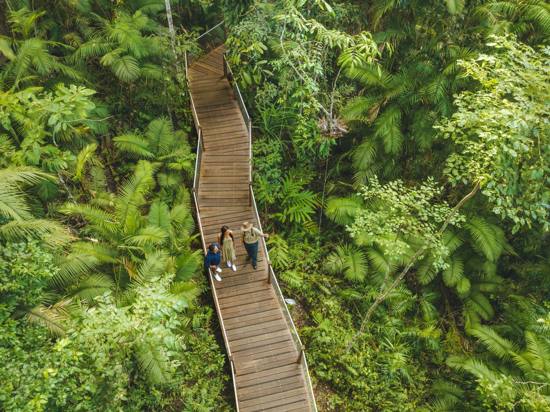 151799 2022 TNQ Cairns SkyrailRainfores 1