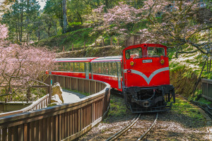 Alishan Forest Railway in spring Alishan National Park Chiayi County Taiwan AdobeStock 361564136 web