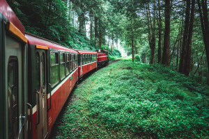Alishan Forest Railway Alishan National Park Chiayi County Taiwan iStock 2226337593 web