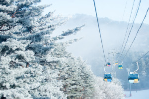 Balwangsan Cable Car Ride Balwangsan Mountain South Korea AdobeStock 226069135 web