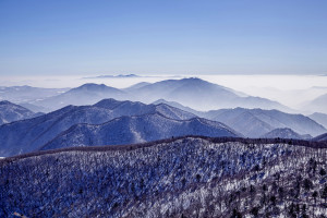Balwangsan Mountain Winter and morning view of snow covered ridges with trees against fog South Korea AdobeStock 1200706593 web