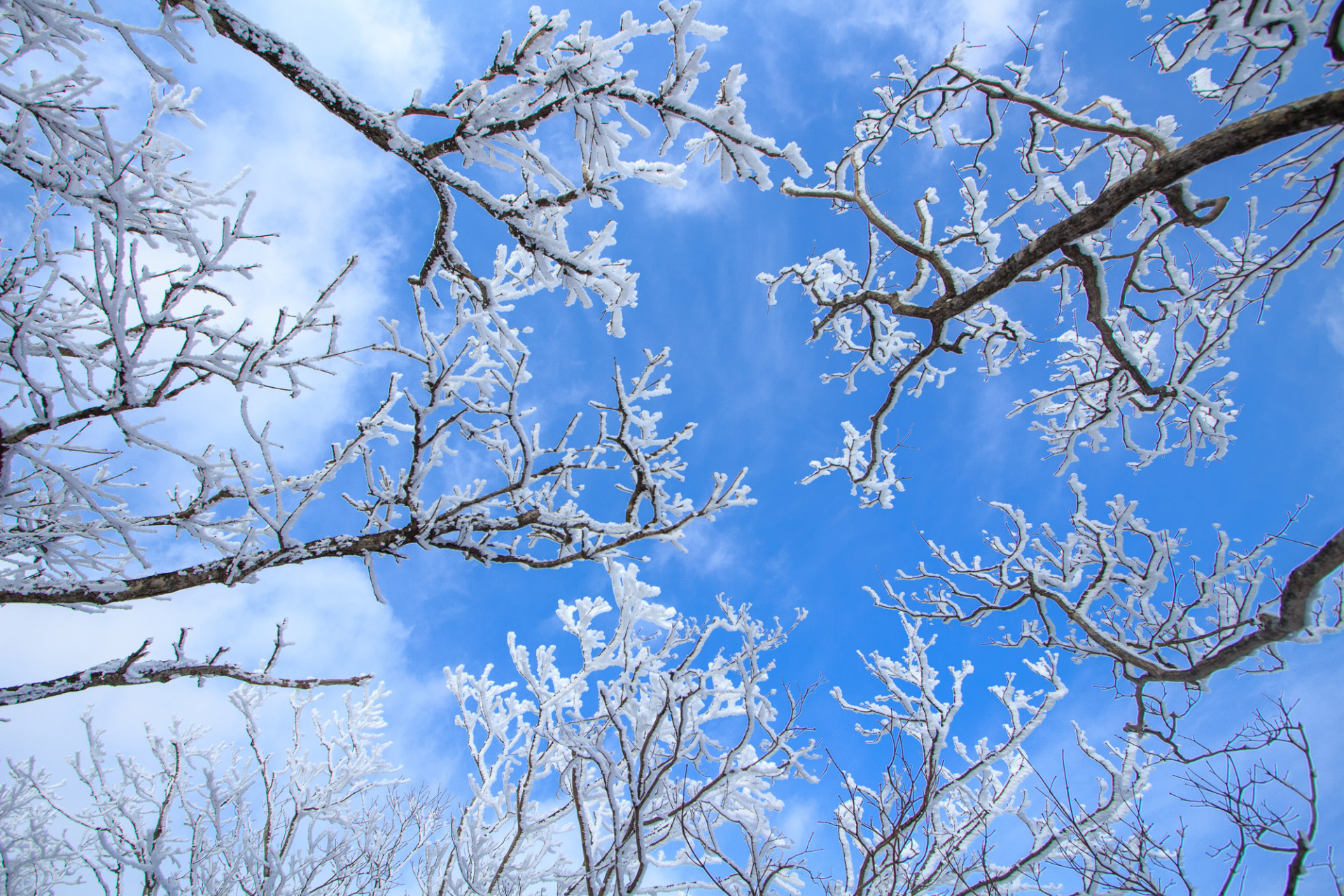 Winter scenery on Balwangsan Mountain 