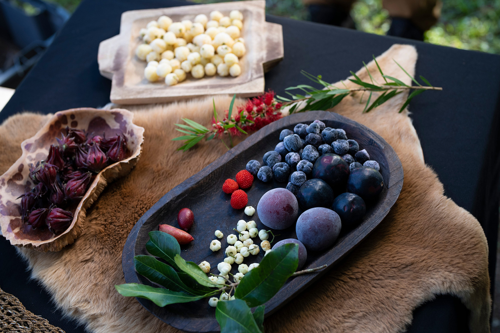 Bangalow Native Bush Food Tour New South Wales operator Explore Byron Bay credit Tourism Australia 1066828 134 web