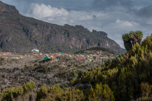 Barranco Camp Mount Kilimanjaro Tanzania Africa AdobeStock 66718419 web
