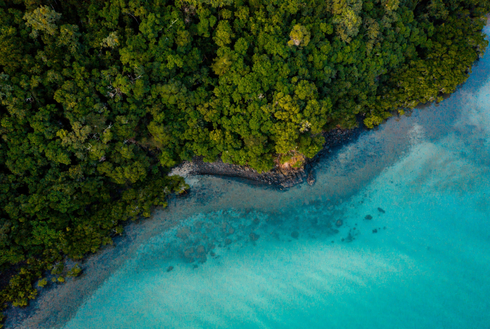 Cape Tribulation Arial 01 c.Port Doulgas Tourism WEB