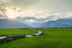 Chishang Paradise Road Taitung County Taiwan web