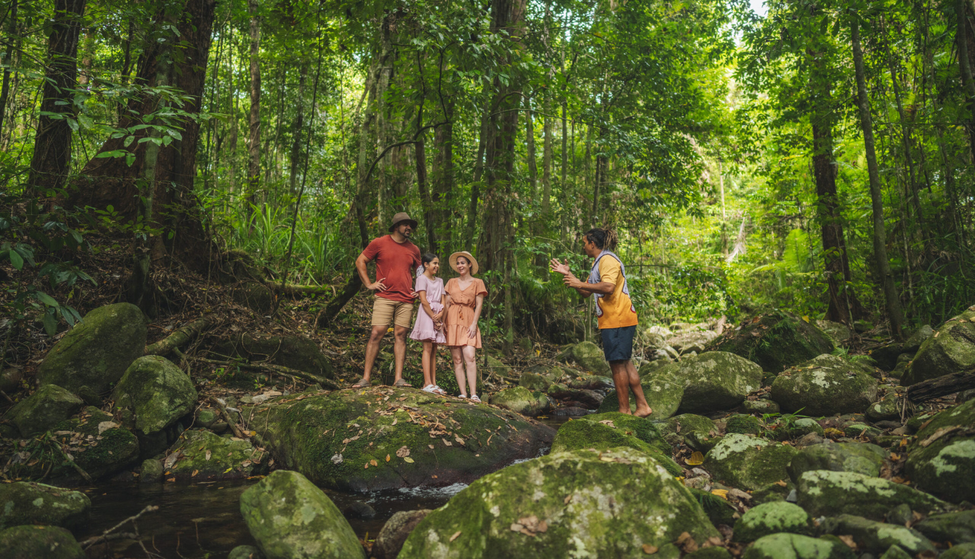Ngana Julaymba Dungay Southern Daintree Rainforest guided tour Queensland Australia 151834 19 scaled