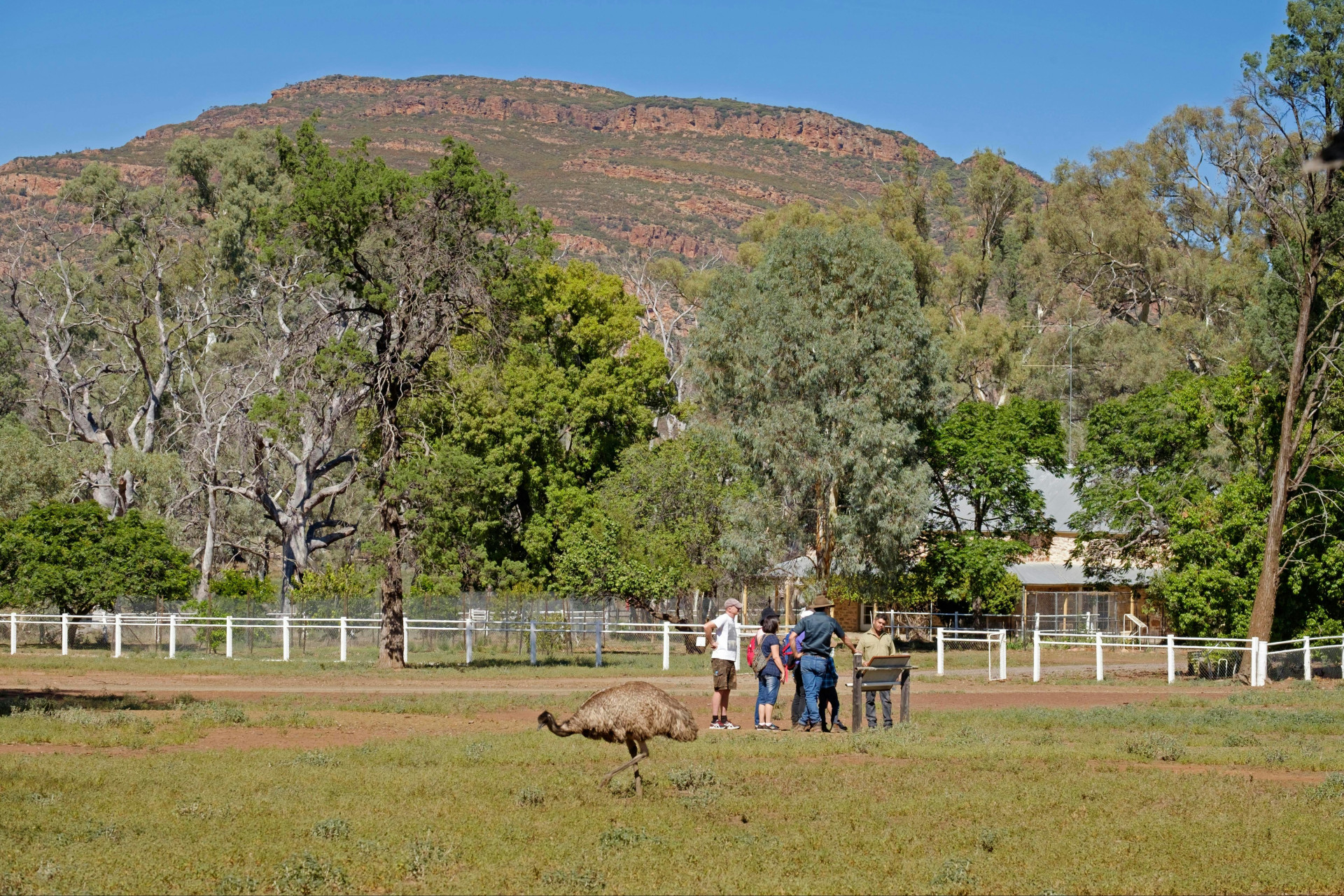 Yura Udnyu (Aboriginal Cultural Walk)