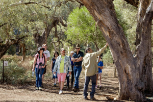 Yura Udnyu Aboriginal Cultural Walk South Australia 26e1b683bcab2e573f6a615b7dffd115