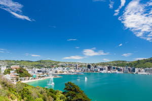 Wellington Mount Victoria into the bay of Wellington South Isalnd New Zealand iStock 464378599