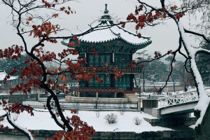 Winter in Korea Gyeongbokgung Palace