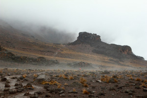 Hiking path from Shira camp towards the Lava Tower on Mt Kilimanjaro Tanzania Africa AdobeStock 1563872020 web