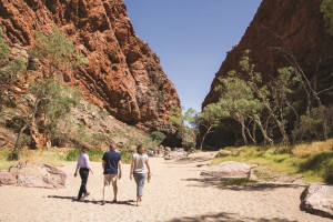 JBRE The Ghan Simpsons Gap West MacDonnell Ranges NT 198 v2
