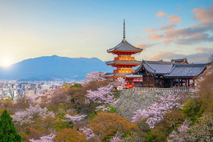 Kiyomizu dera Temple sunset cherry blossoms Kyoto Japan shutterstock 2749887757 web