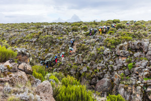 Lemosho Route Kilimanjaro Tanzania AdobeStock 325076284 web