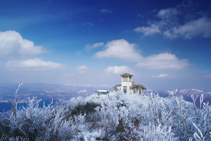 MONA YONGPYONG Ski Resort Korea 1e3b27a455857 LRG