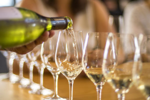 Marlborough NZ sounds connection wine tour 2
