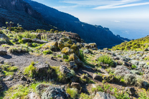 Mount Kilimanjaro Lemosho Route Tanzania Africa AdobeStock 325082458 web