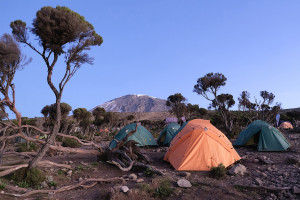 Mweka Camp Mt Kilimanjaro Kilimanjaro peak in background Tanzania Africa AdobeStock 1474005221 web