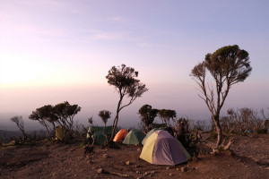 Mweka Camp Mt Kilimanjaro Tanzania Africa AdobeStock 1474005427 web