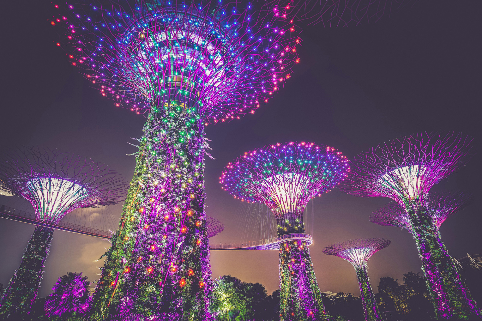 Gardens by the Bay, Singapore