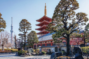 Tokyo Senso ji Temple Asakusa district Japan iStock 1404688320 web