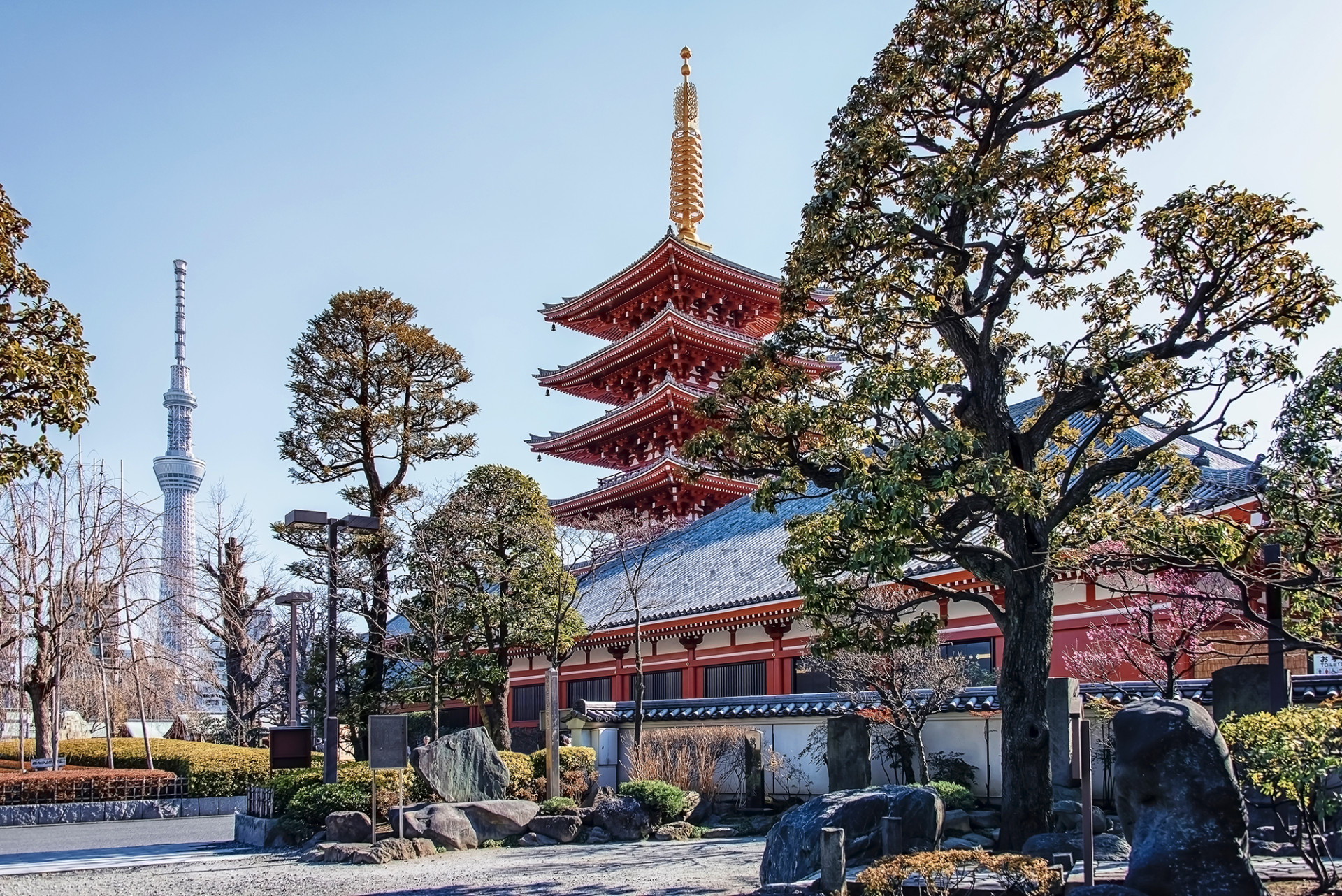 Tokyo Senso ji Temple Asakusa district Japan iStock 1404688320 web